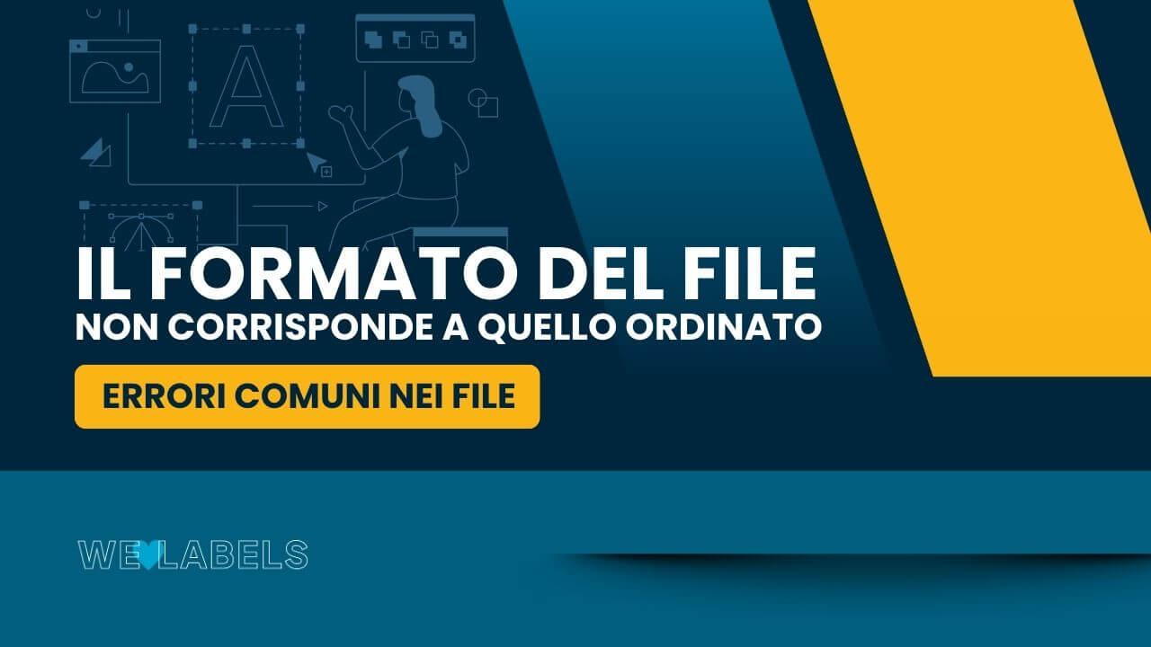 Errori-Il-formato-del-file-non-corrisponde-a-quello-ordinato